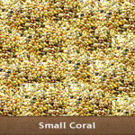 small-coral-380x380